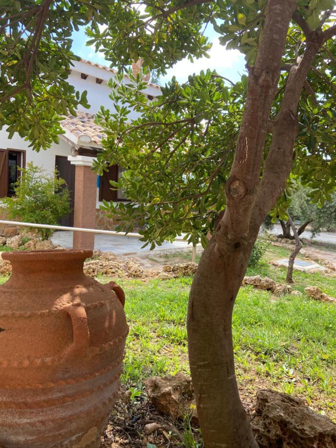 Complejo Rural Ibipozo Guest House Pozo Alcon Ngoại thất bức ảnh