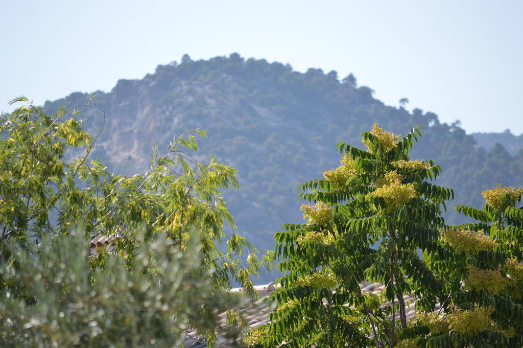 Complejo Rural Ibipozo Guest House Pozo Alcon Ngoại thất bức ảnh